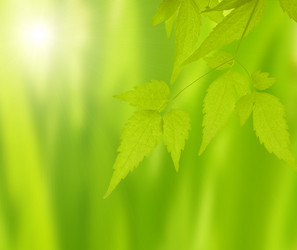 Similar image 105241