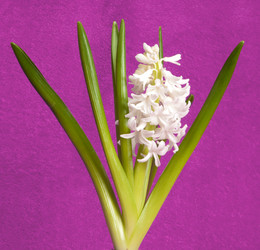 Similar image 105273