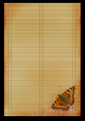 Similar image 105287