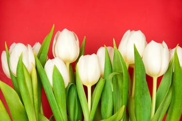 Similar image 105303