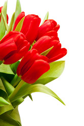 Similar image 105305