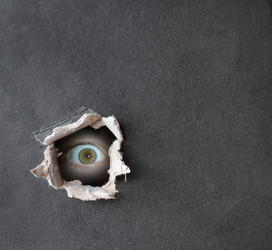 Similar image 105317