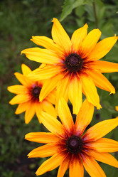 Similar image 105321