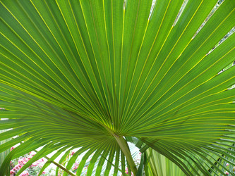 Similar image 105327