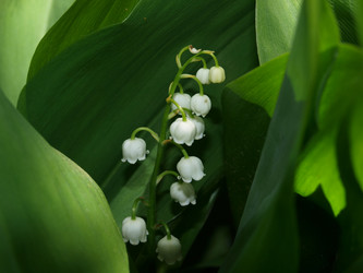 Similar image 105335