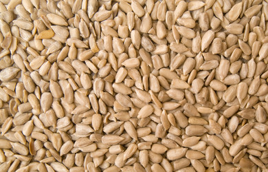 Similar image 105360