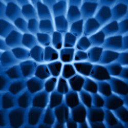 Similar image 105363