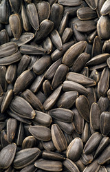 Similar image 105364