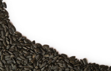 Similar image 105366