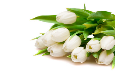 Similar image 105378