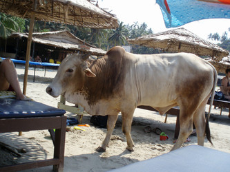 Similar image 105379