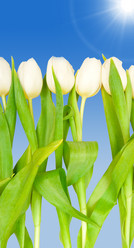 Similar image 105382