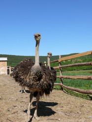 Similar image 105394