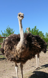 Similar image 105396