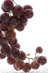 Similar image 105416