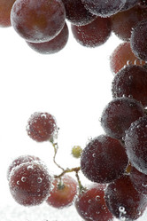 Similar image 105418