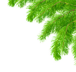 Similar image 105426