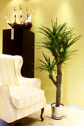 Similar image 105438