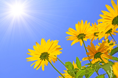 Similar image 105454