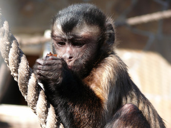 Similar image 105459