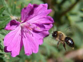 Similar image 105536