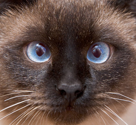 Similar image 105537