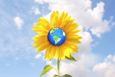 Similar image 105552