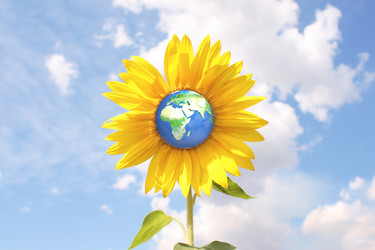 Similar image 105553