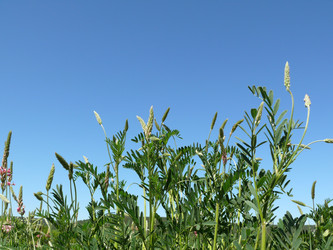 Similar image 105557