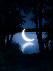 Similar image 105558