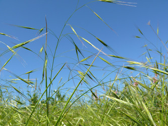 Similar image 105560