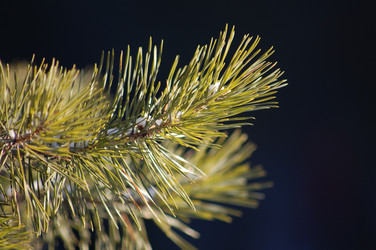 Similar image 105561