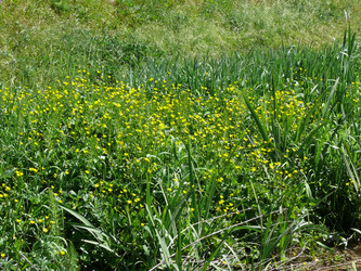 Similar image 105562