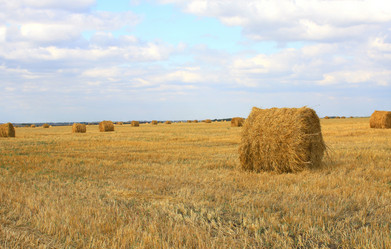 Similar image 105570