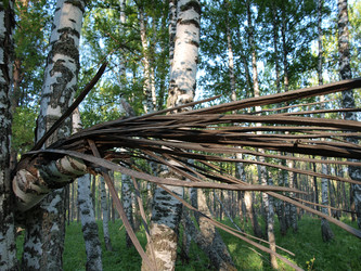 Similar image 105583