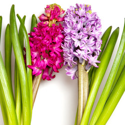 Similar image 105591