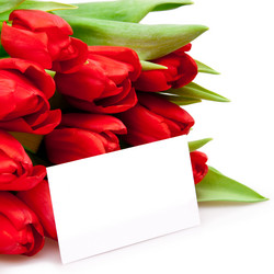 Similar image 105595