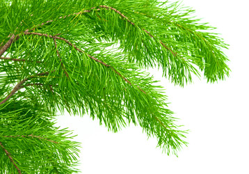 Similar image 105600