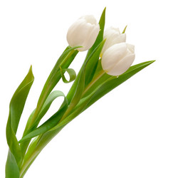 Similar image 105601