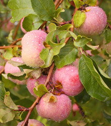 Similar image 105624