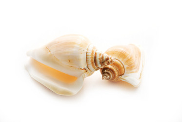 Similar image 105649