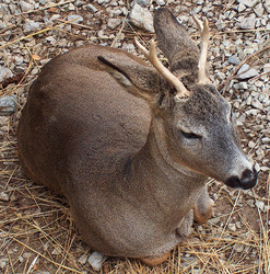 Similar image 105651