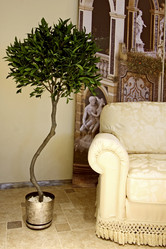 Similar image 105667