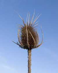 Similar image 105671