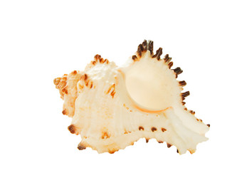 Similar image 105711