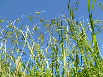 Similar image 105716