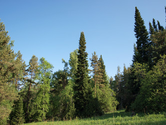 Similar image 105729