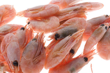 Similar image 105747