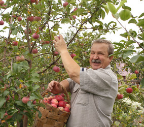 Similar image 105761