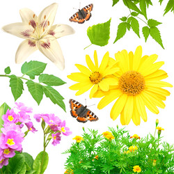 Similar image 105764